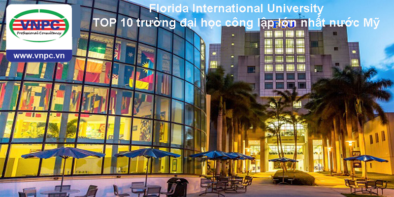 Florida International University – TOP 10 trường đại học công lập lớn nhất nước Mỹ