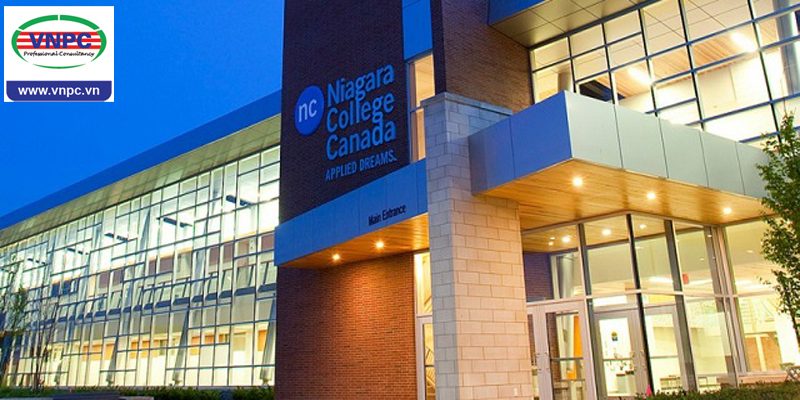 Niagara College có những chương trình học nào có chương trình thực tập hưởng lương
