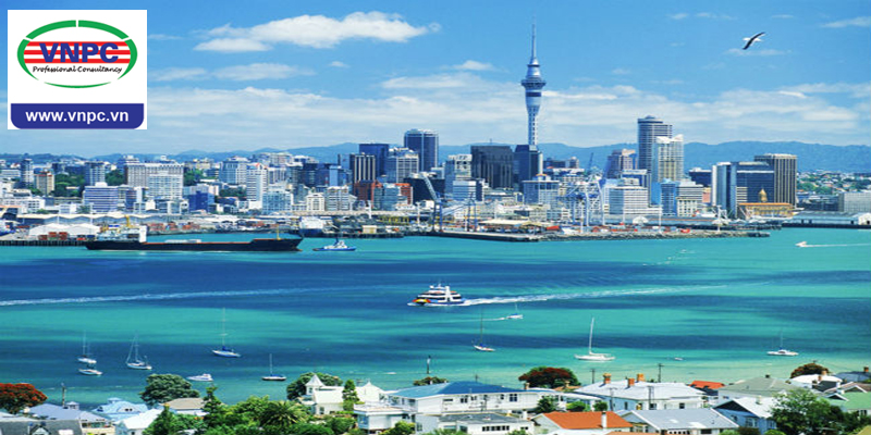 Wellington – thành phố giàu sức sống của sinh viên du học New Zealand