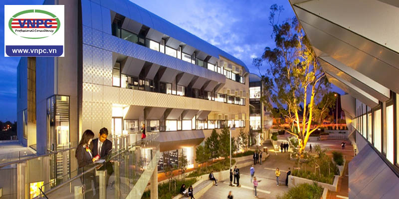 Cập nhật học bổng giá trị 25%, 50% và 100% tại đại học Deakin, Úc