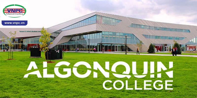 Chia sẻ của du học sinh Việt Nam về kinh nghiệm học tập tại Algonquin College