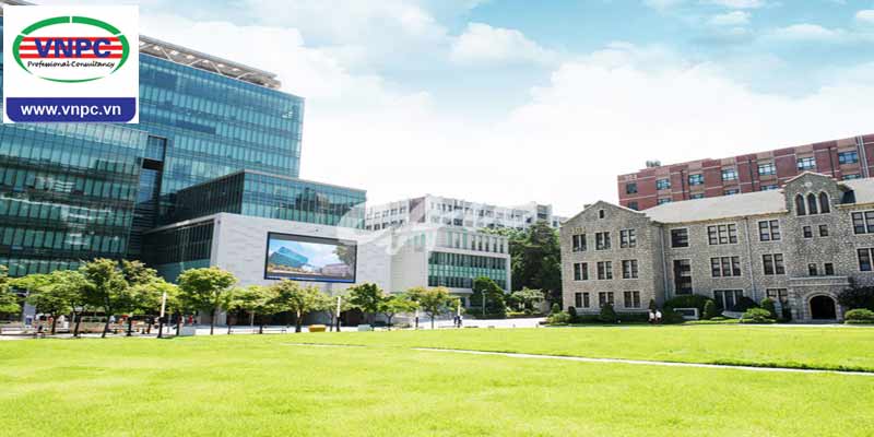 Đại học Chung Ang – Điểm đến lý tưởng dành cho sinh viên quốc tế