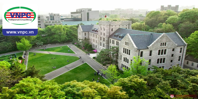Đại học Korea – trường đại học danh tiếng nhất khi du học Hàn Quốc 2017