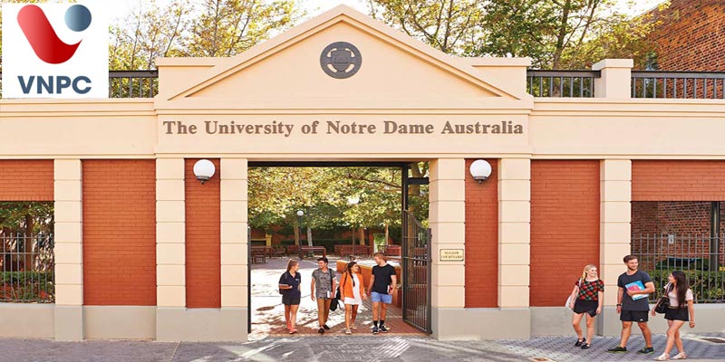 Đại học Notre Dame: Đại học hàng đầu về đào tạo giáo dục và sức khỏe ở Úc