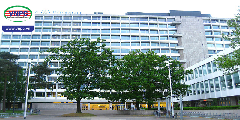 Đại học nghiên cứu Tilburg – trường đại học nghiên cứu top đầu tại Hà Lan