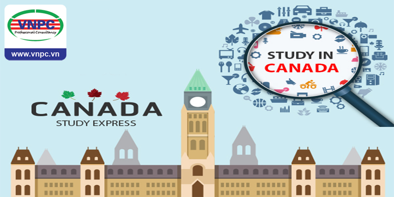 Du học Canada CES: Ngành học nổi bật tại các trường trong danh sách CES tại bang Ontario
