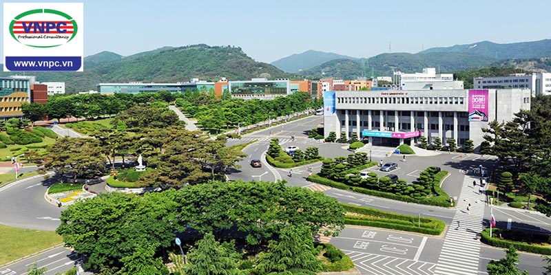 Du học Hàn Quốc với trường thuộc TOP 1% Visa thẳng Daegu Catholic University