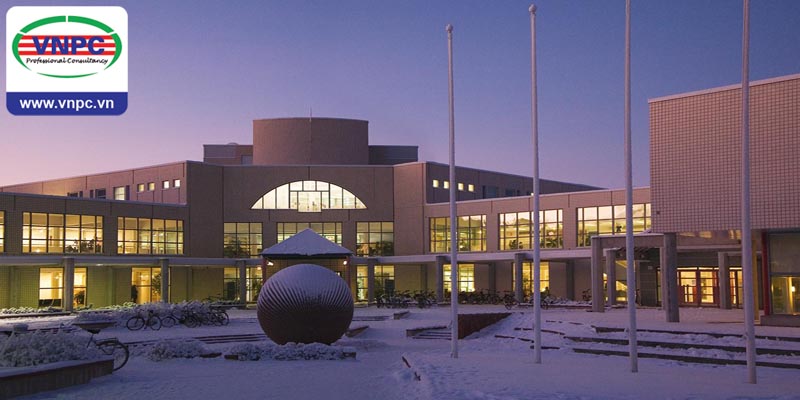 Học bổng du học Phần Lan 2017 lên tới 75% học phí của Đại học Khoa học ứng dụng Metropolia