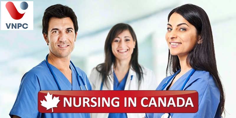 Du học Canada: Những điều cần biết về ngành Nursing