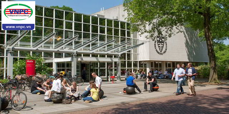 Tại sao nên lựa chọn trường đại học Radboud Nijmegen