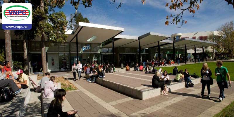 Tạo dựng tương lai cùng Học viện Crown khi du học New Zealand 2017