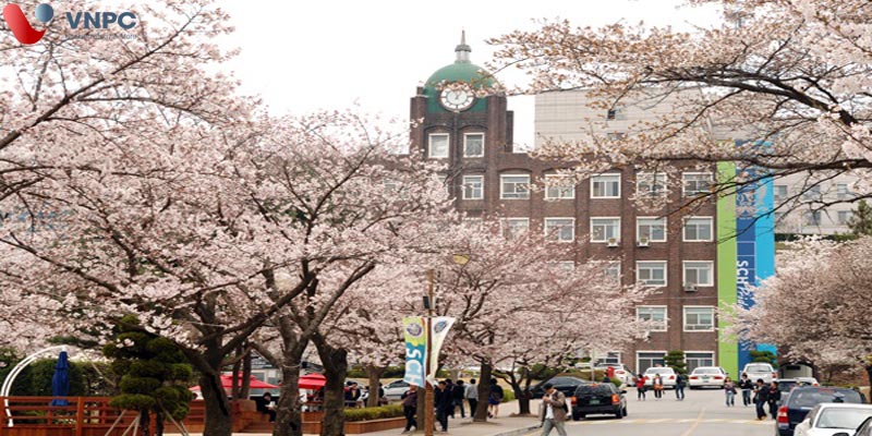 Tất cả những gì du học sinh cần biết về Đại học TOP 1% Hàn Quốc SoonchunHyang