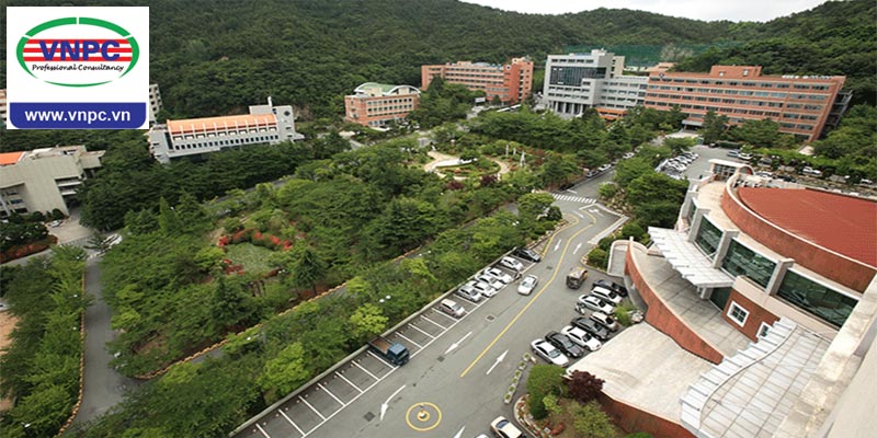 Visa thẳng dẫn lối vào đại học top 1% Hàn Quốc: Dong-eui University