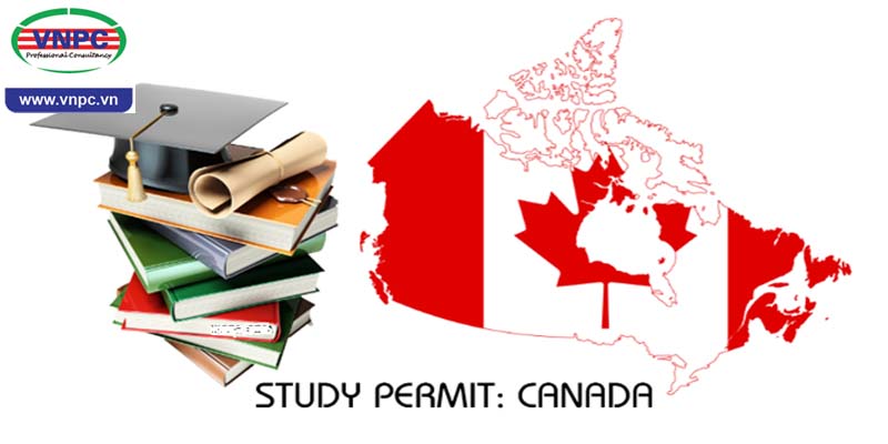 VNPC hướng dẫn gia hạn Visa và Study Permit cho du học sinh Canada