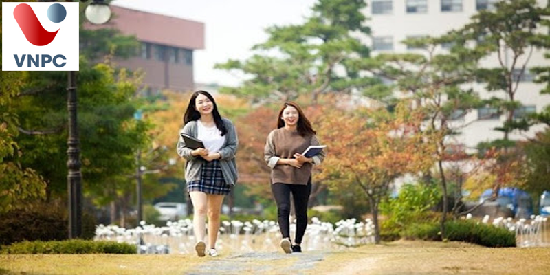 Du học Hàn Quốc nên chọn ngành nào?
