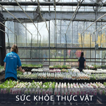 Sức khỏe thực vật