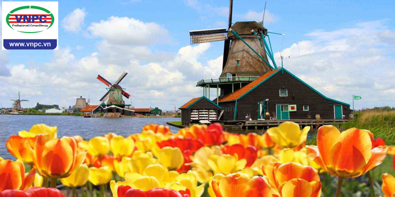 10 bước đơn giản du học Hà Lan