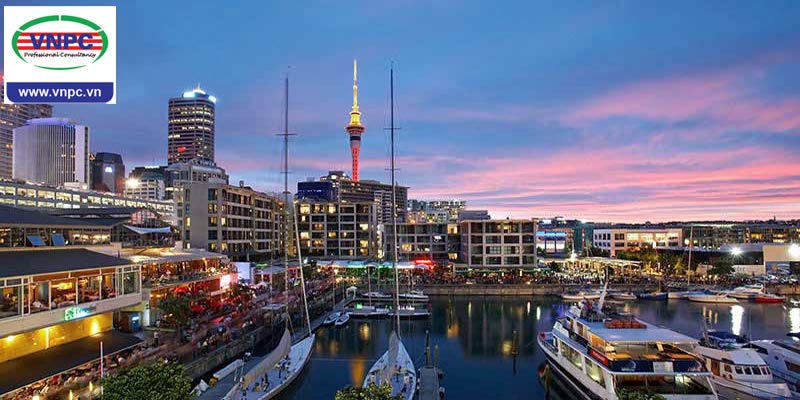 4 trường đại học tốt nhất tại thành phố Auckland, New Zealand