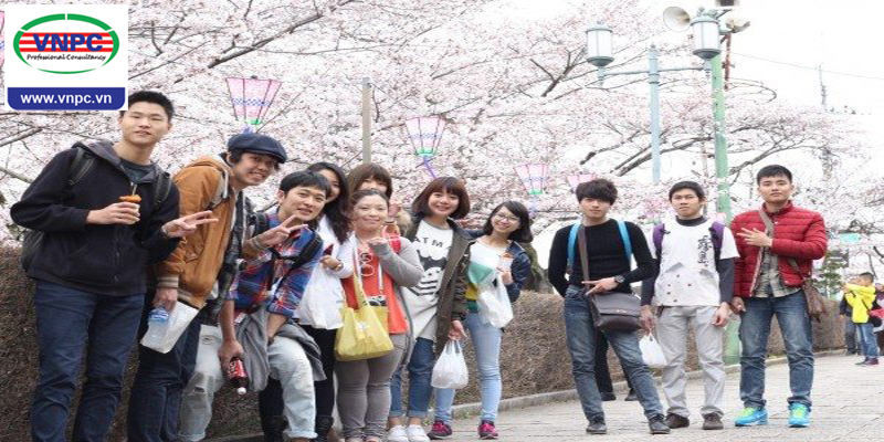 6 lý do thôi thúc bạn tới du học Nhật Bản 2018