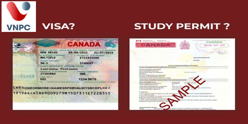 Cách phân biệt visa du học Canada (Canada student visa) và giấy phép du học study permit Canada