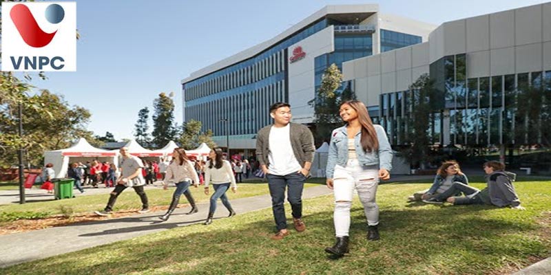 Cập nhật thông tin học bổng du học Úc mới nhất từ đại học Griffith 