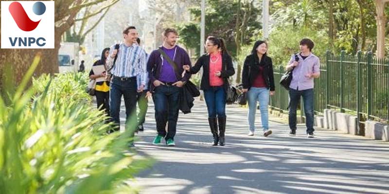 Chinh phục học bổng du học mới nhất trị giá 100% học phí tại đại học số 1 New Zealand