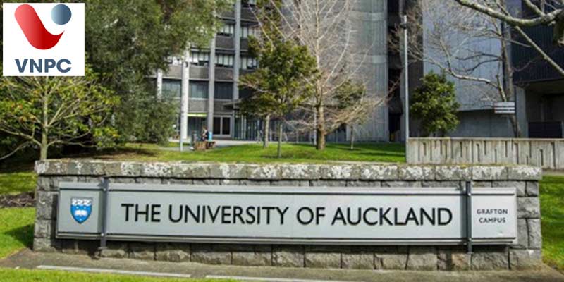 Chinh phục học bổng du học mới nhất trị giá 100% học phí tại đại học số 1 New Zealand