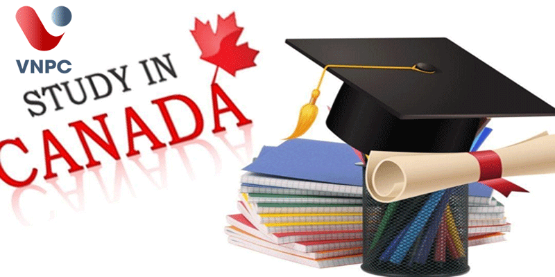 Chinh phục học bổng du học THPT Canada 50% đến từ trường Willowdale High School