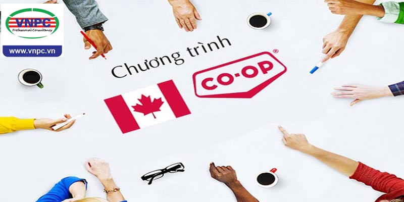 Chương trình thực tập Co-op – Ưu điểm của du học Canada