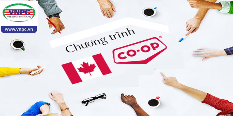Chương trình vừa học vừa làm Co-op khi du học Canada 2018 mang lại cho bạn lợi ích gì?