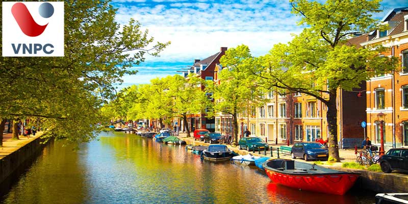 Cơ hội định cư ở Hà Lan sau khi tốt nghiệp Đại học như thế nào?