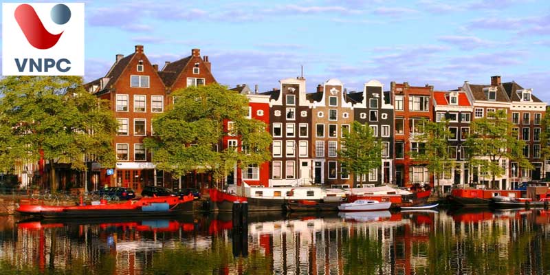 Cơ hội định cư ở Hà Lan sau khi tốt nghiệp Đại học như thế nào?