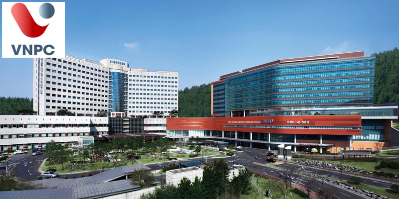 Cơ hội làm việc tại tập đoàn Hyundai thông qua ngôi trường TOP Hàn Quốc về kỹ thuật Đại học Kỹ thuật Daegu 