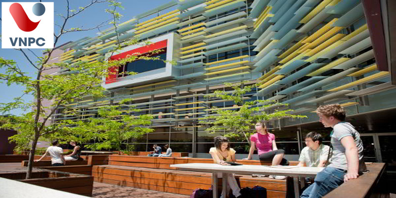 Con đường rộng mở tại Úc với Học viện Kinh doanh và Công nghệ Perth