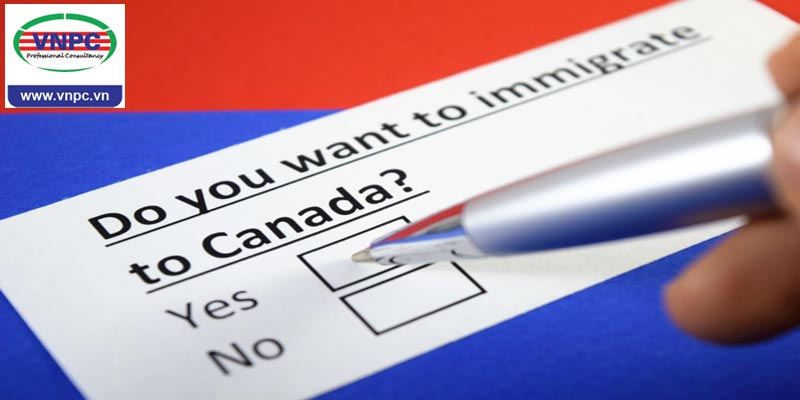 Cùng VNPC điểm lại những cập nhật về chính sách Visa và định cư của mới nhất ở Canada 2019