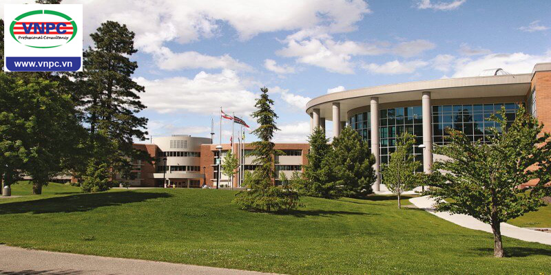 Đại học Thompson Rivers - Top 6 trường đại học hiếm hoi nằm trong danh sách CES