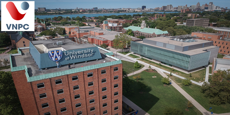 Đại học Windsor - Học ngành gì để sở hữu tấm vé ưu tiên định cư để cử tỉnh bang Ontario?