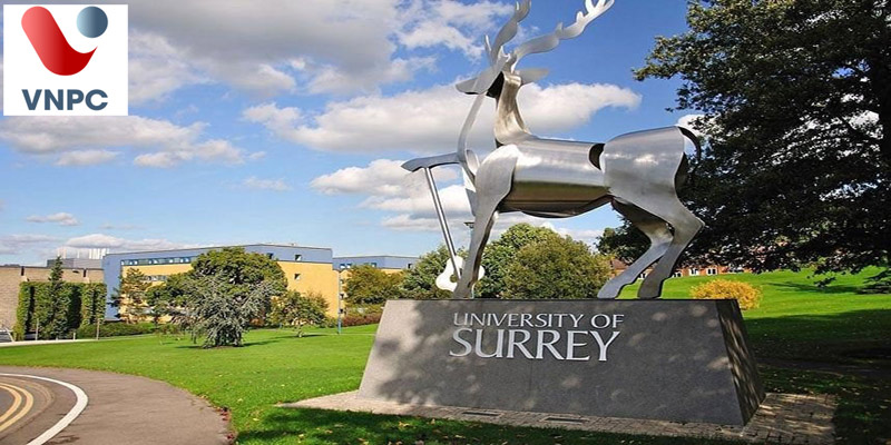 Du học Anh trường đại học Surrey:  Trường có tỷ lệ sinh viên tốt nghiệp có việc làm cao nhất Anh Quốc
