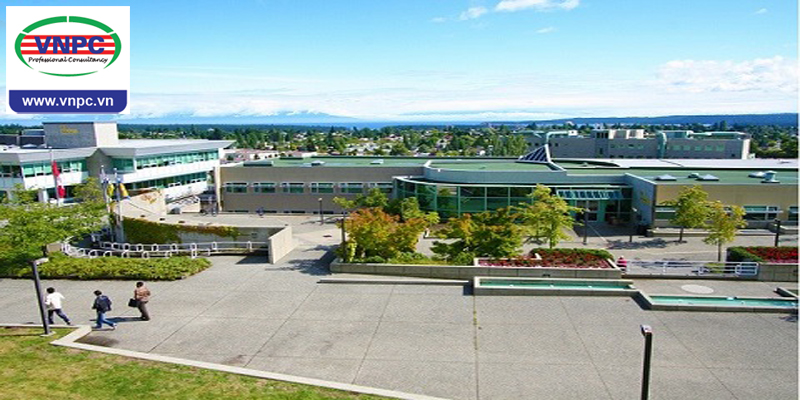 Đại học Vancouver Island sẽ tăng yêu cầu đầu vào tiếng Anh đối với sinh viên quốc tế