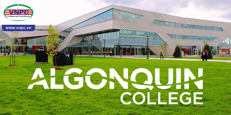 Du học Canada 2017: Chương trình cử nhân ứng dụng tại Algonquin