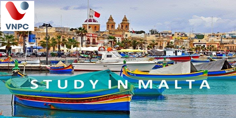 Du học Malta ngành công nghệ thông tin năm 2022