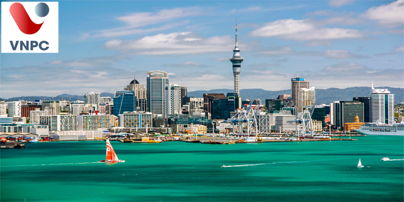 Thông tin du học New Zealand ở thành phố Auckland mới nhất 2021
