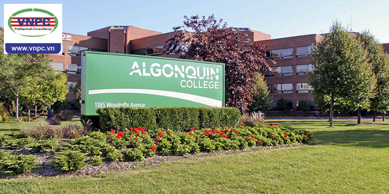 Du học Canada CES: Chương trình đào tạo ứng dụng cao tại Algonquin College