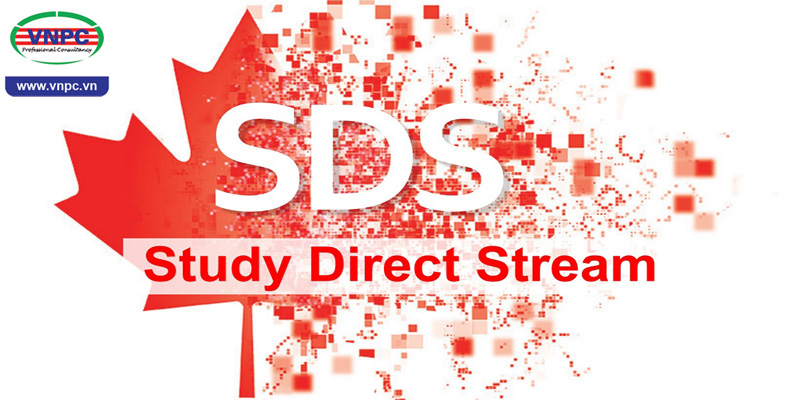 Du học Canada những ảnh hưởng của chương trình SDS tới du học sinh Việt Nam?
