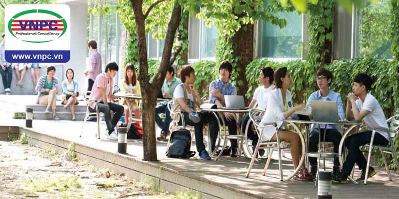 Du học Hàn Quốc 2017 - Cơ hội làm việc ở những tập đoàn hàng đầu