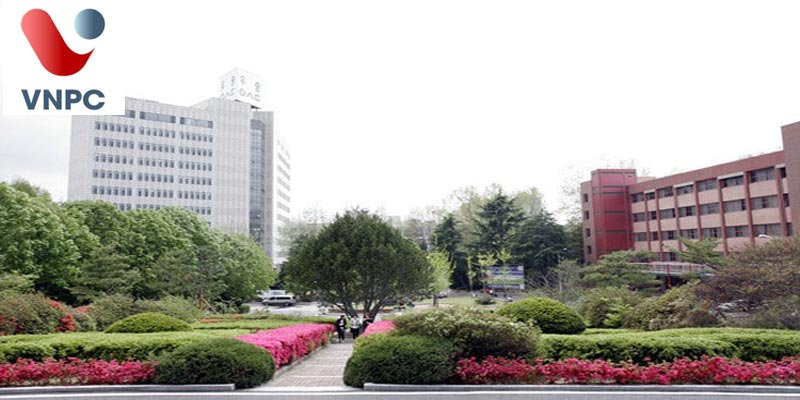Du học Hàn Quốc chi phí vừa phải tại trường top Woosong University