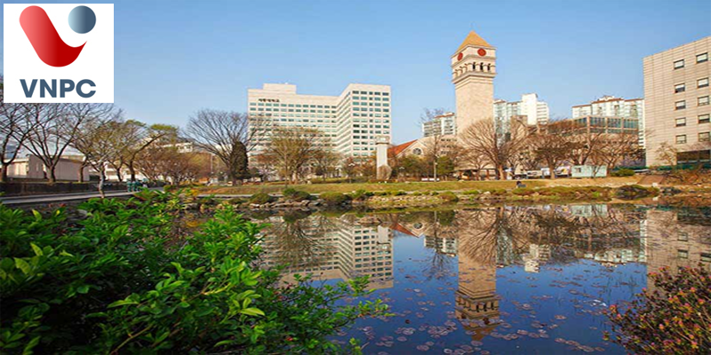 Du học Hàn Quốc ngành du lịch khách sạn năm 2022