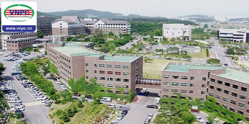 Du học Hàn Quốc tại đại học Honam – Bảo chứng cho đầu ra việc làm của sinh viên quốc tế