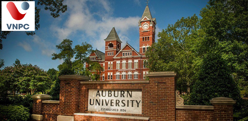 Du học Mỹ ngành khoa học máy tính tại trường Auburn University