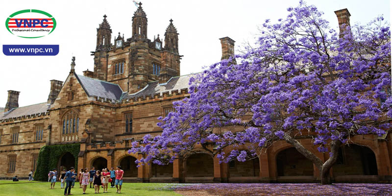 Du học Úc 2018: Học sinh những trường này tại Việt Nam được tuyển thẳng vào đại học Sydney